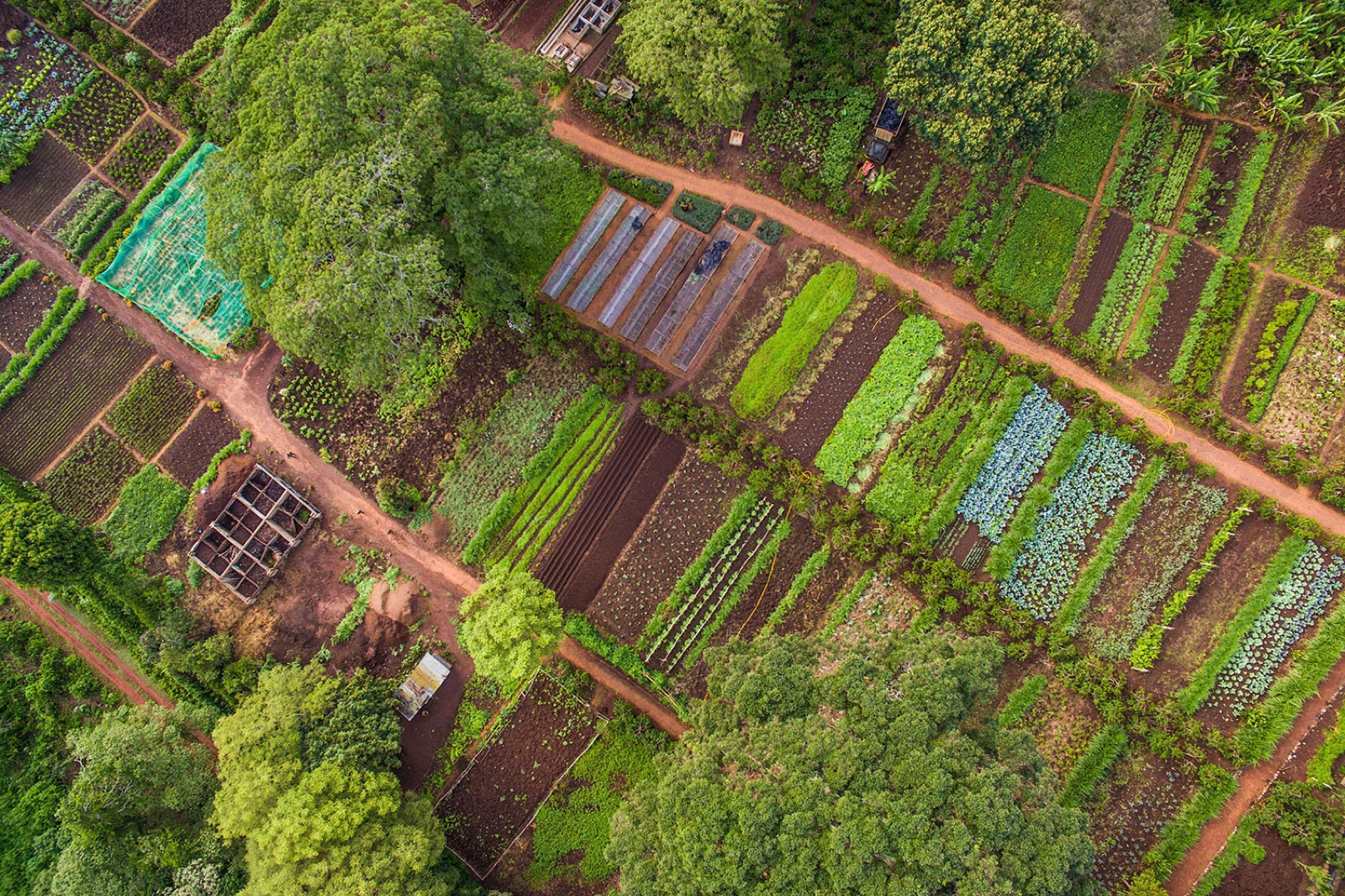 Gibb's Farm