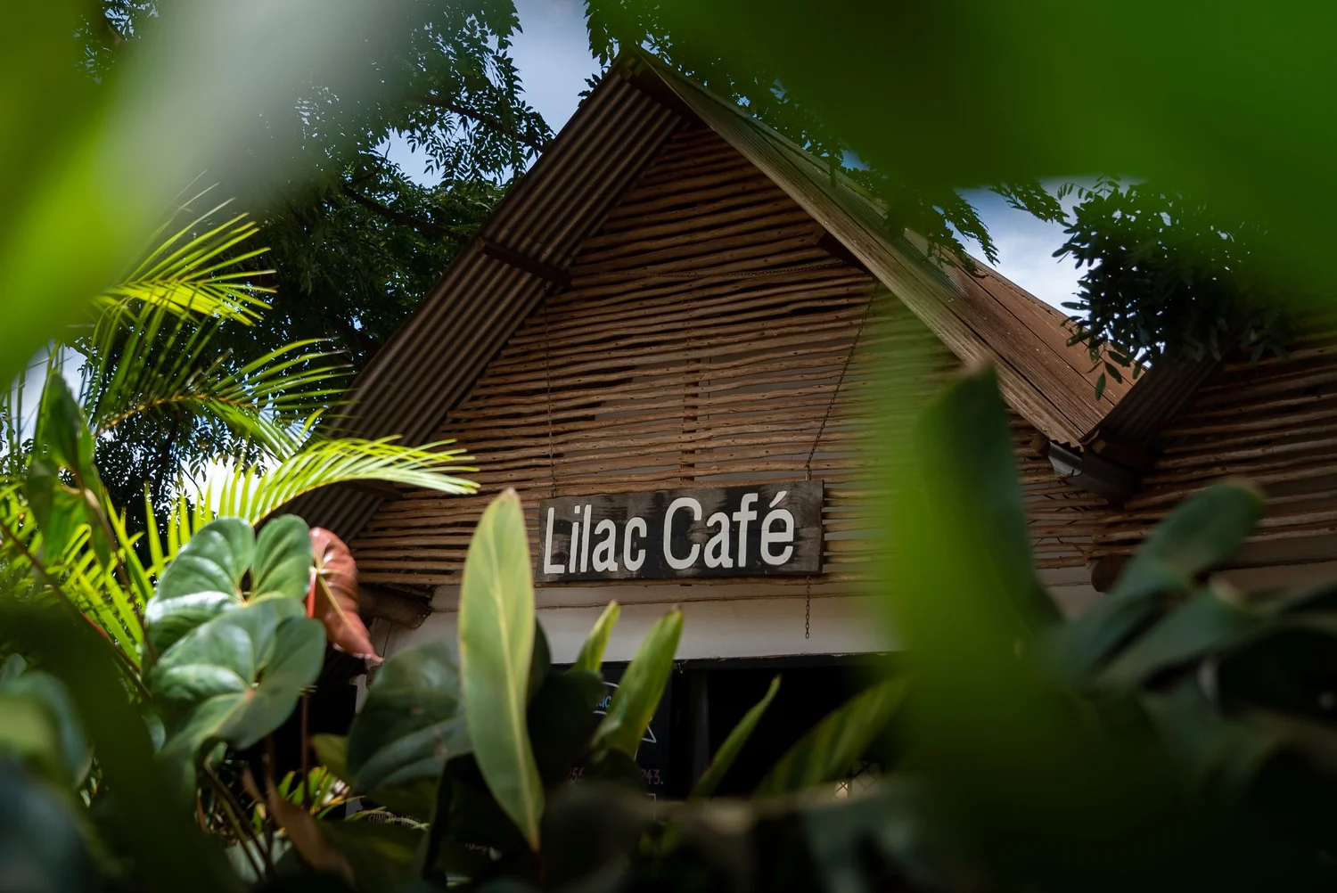 Lilac Café